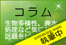 コラム