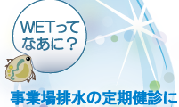 ＷＥＴって、なあに？