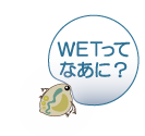 ＷＥＴってなあに？