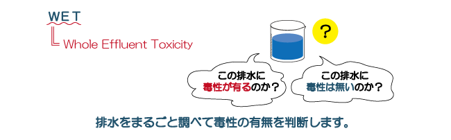 ＷＥＴは全排水生物影響評価の略です