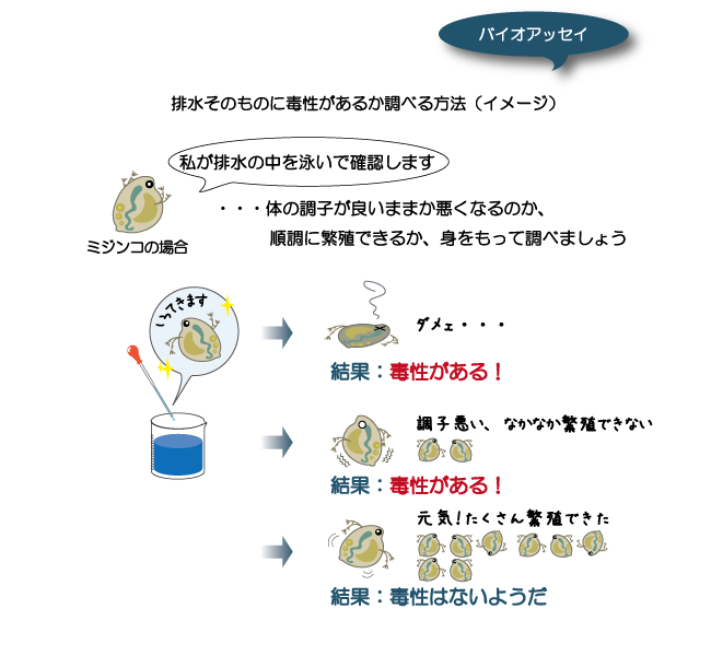 バイオアッセイのイメージ