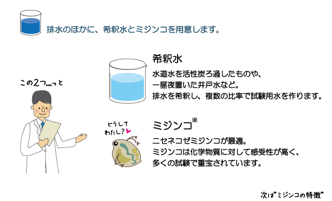 ミジンコを使った試験方法2ページ/6ページ