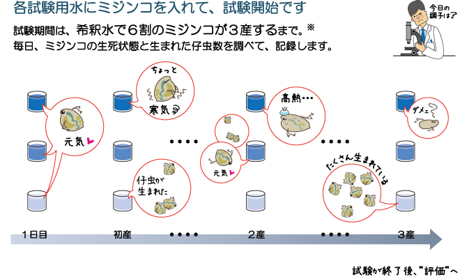 ミジンコを使った試験方法5ページ/6ページ
