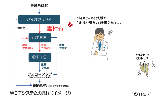 毒性が有った場合の改善方法1ページ/6ページ