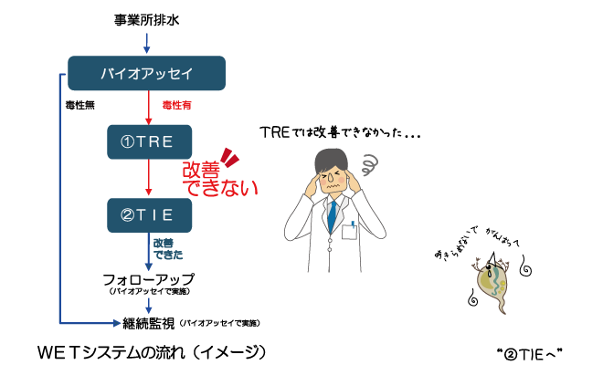 毒性が有った場合の改善方法4ページ/6ページ
