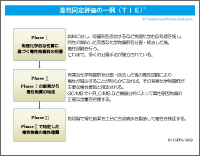 ＴＩＥの一例